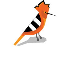 Hoopoe Communication